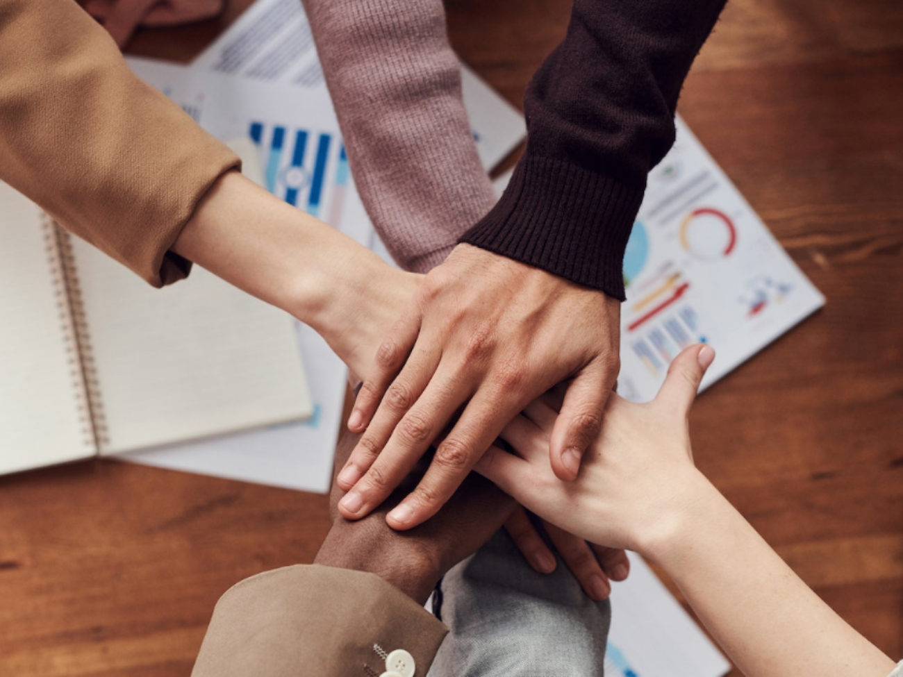 ampa-parque-de-maria-luisa-asamblea-junta-directiva-ceip-espana-sevilla